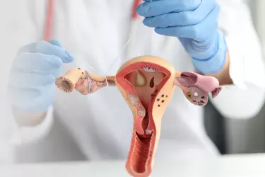 Best Gynaecologist at IVY Hospital Mohali, Best Gynaecologist in Kharar, Family Planning Clinic, Contraceptive Solutions, IUCD Insertion, Mirena Ring Insertion, Fallopian Tube Surgery